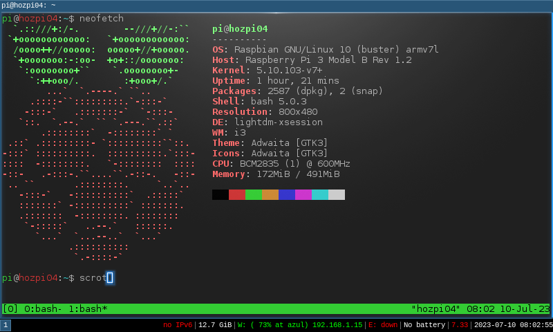 Descripcion: captura de pantalla de un raspberry pi corrindo i3 y Terminology. En el terminal, neofetch muestra que solo hay un CPU corriendo a 600MHz y 512MB RAM.